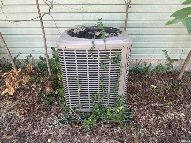 404 South Jackson Street, Carterville, IL 62918