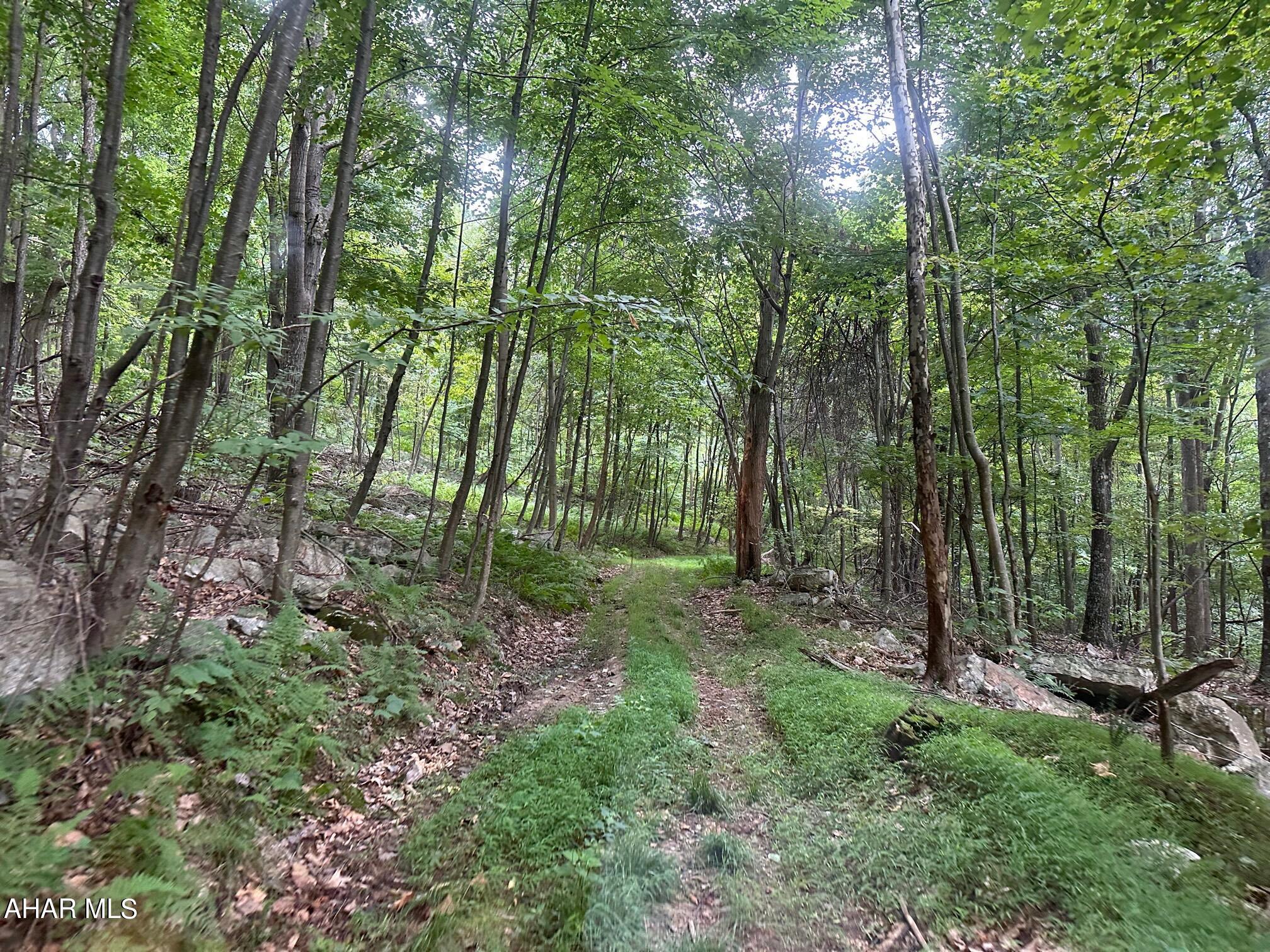 Lot #2 Louks Road Bedford, PA 15522 - Photo 6 of 9