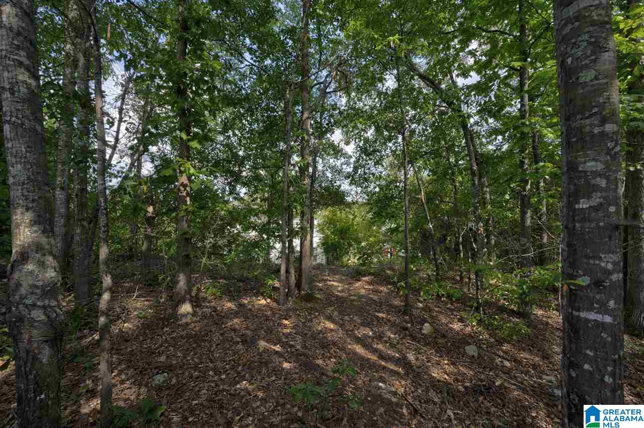 1004 Keith Cove Birmingham, AL 35242 - Photo 38 of 41