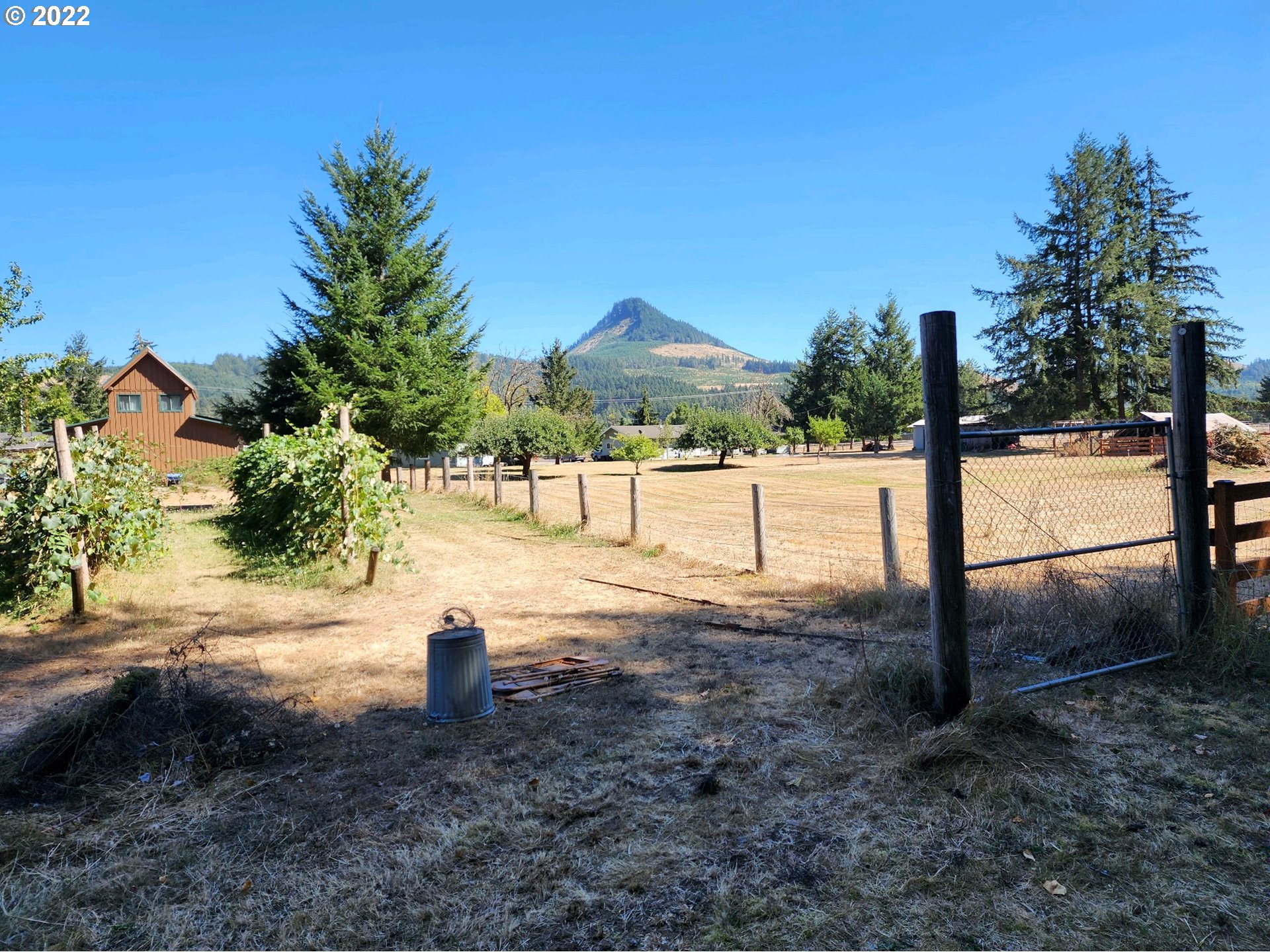 82226 Rattlesnake Road Dexter, OR 97431 - Photo 3 of 32 a view of a pathway with a yard