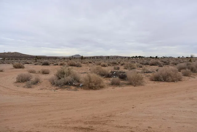 a view of an ocean beach