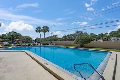 a house with palm tree in front of it