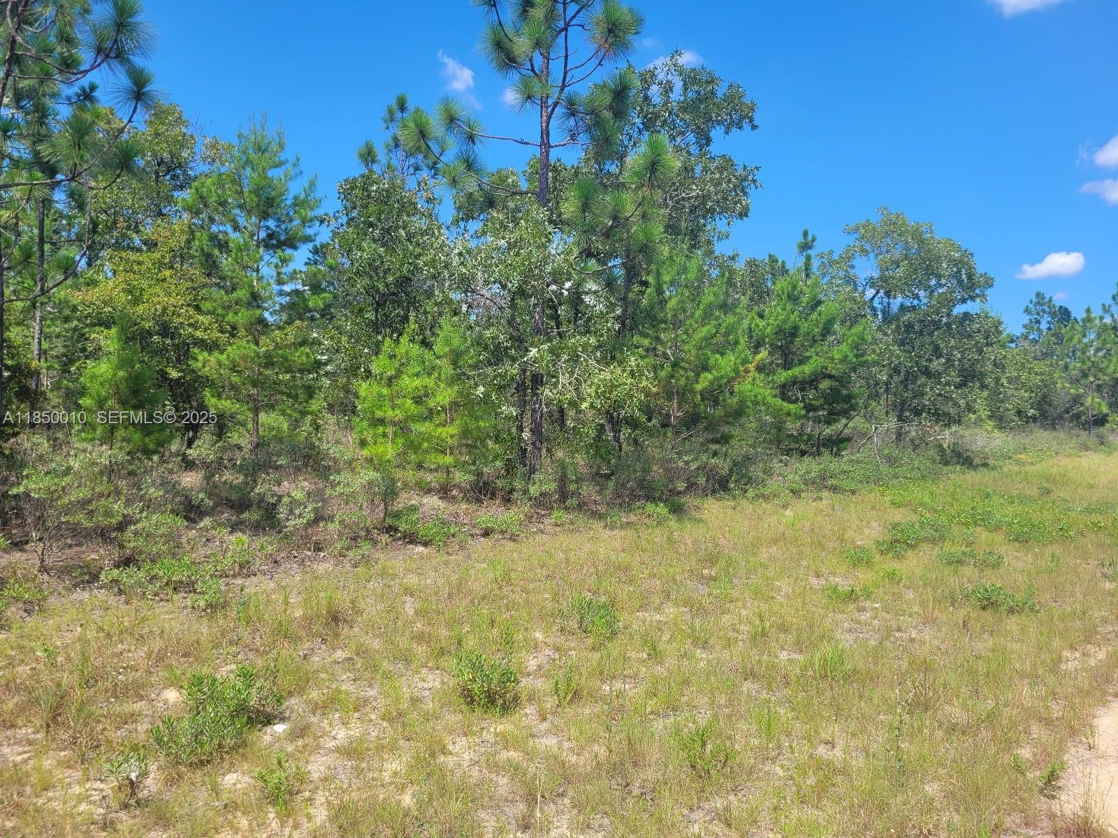 0 Norvell Street Chipley, FL 32428 - Photo 13 of 13