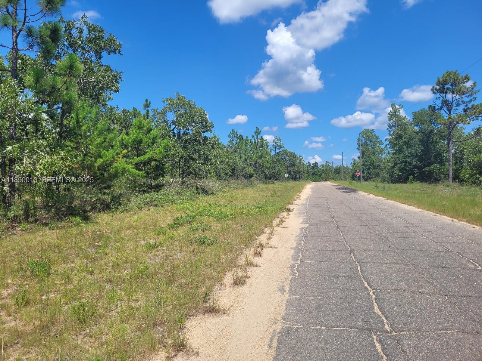 0 Norvell Street Chipley, FL 32428 - Photo 3 of 13