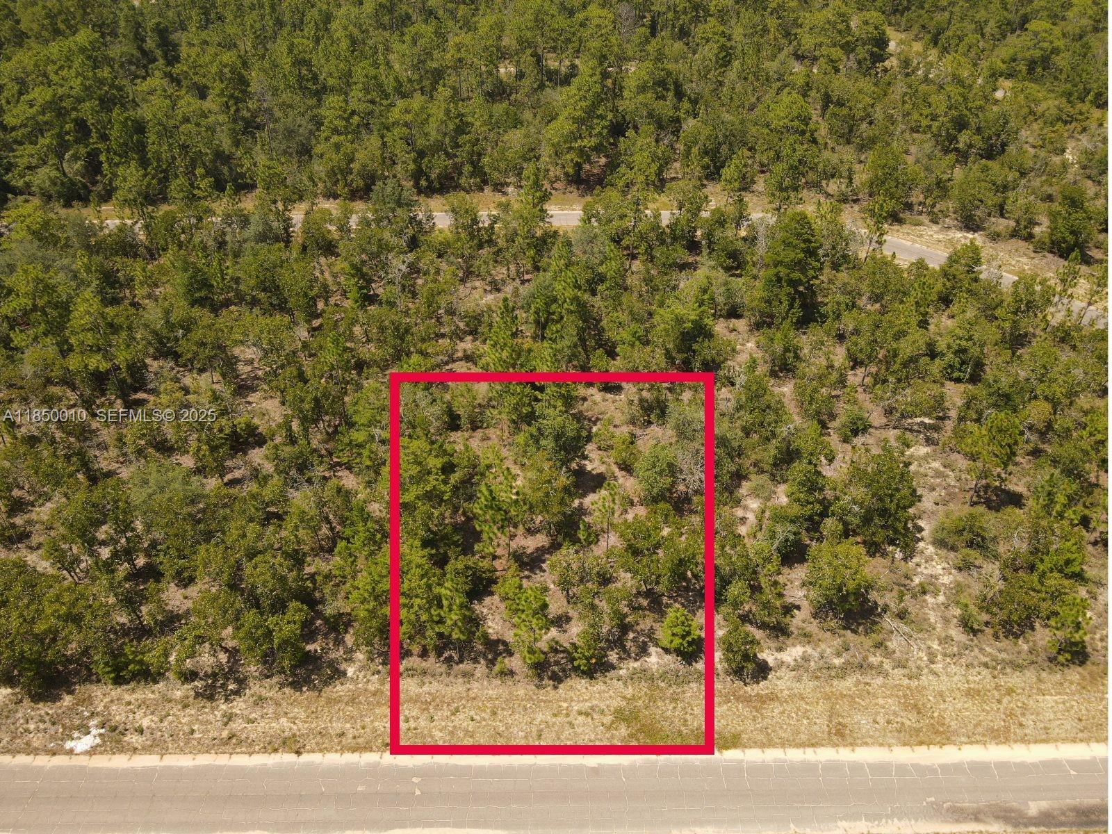 0 Norvell Street Chipley, FL 32428 - Photo 4 of 13