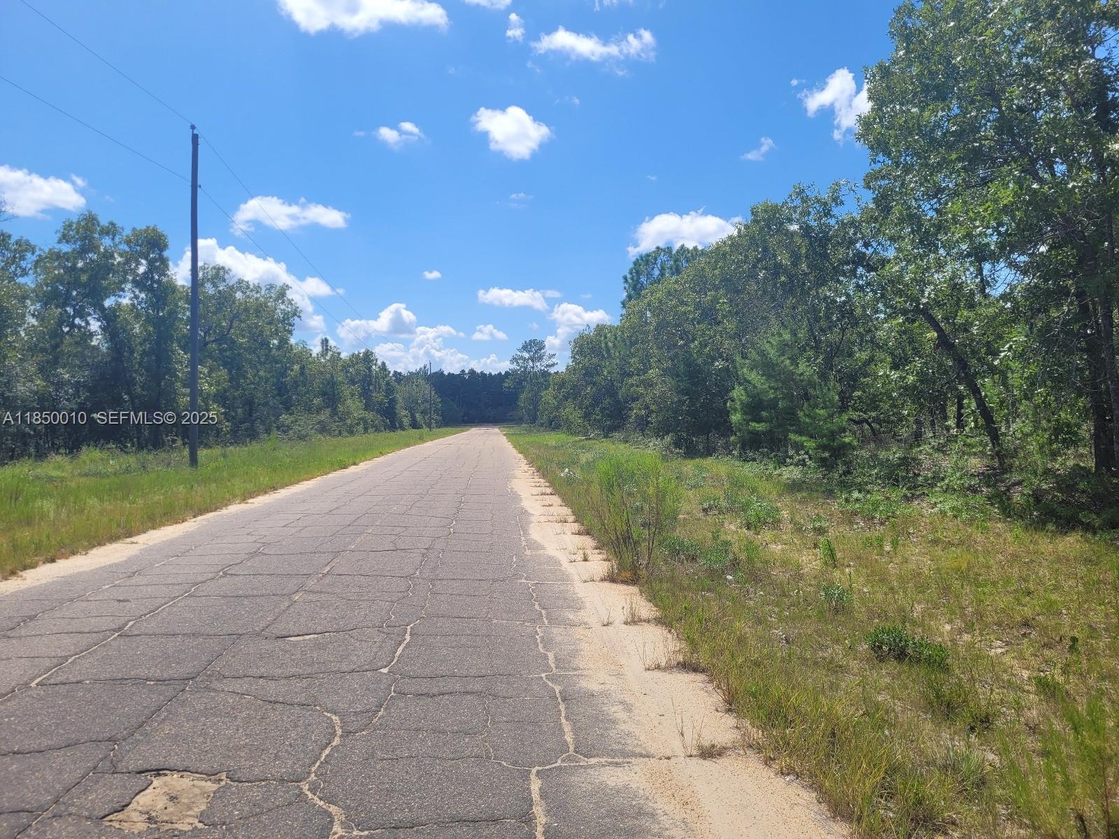 0 Norvell Street Chipley, FL 32428 - Photo 7 of 13