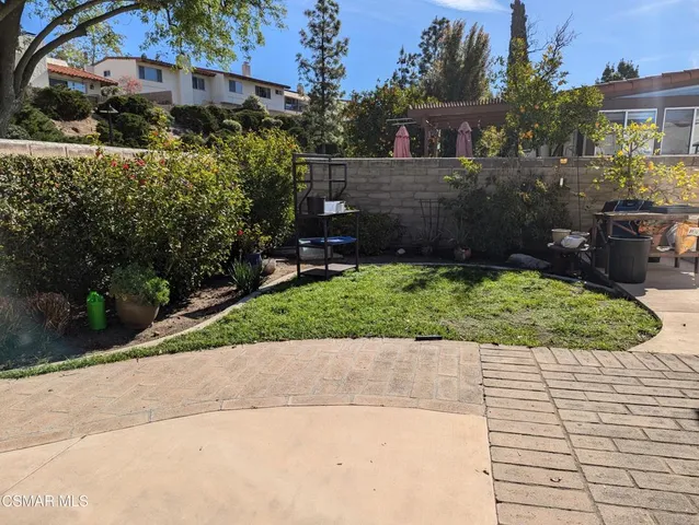 a view of a park with large trees