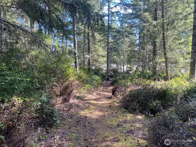 a view of a garden with a house