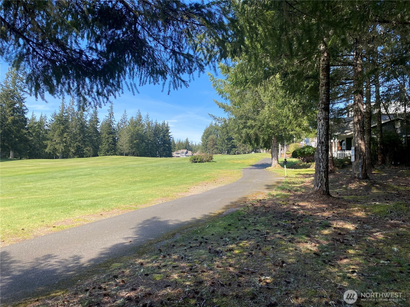 200 East Soderberg Road Allyn, WA 98524 - Photo 2 of 20 a view of a park with large trees