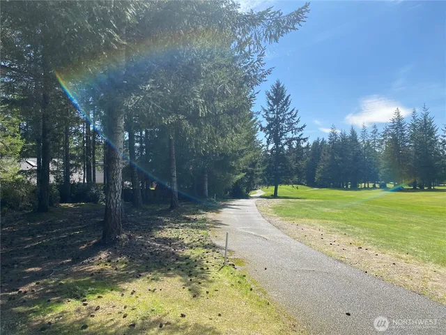 a view of a yard with swimming pool