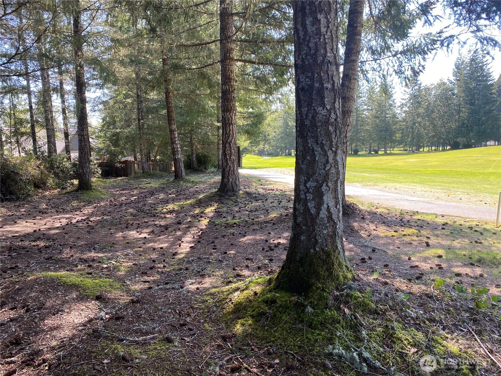 200 East Soderberg Road Allyn, WA 98524 - Photo 7 of 20 a view of outdoor space with trees
