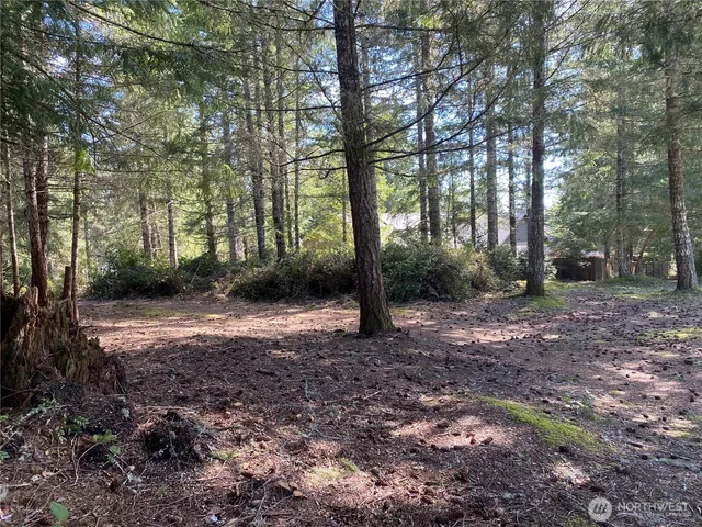 a big yard with lots of green space and deers