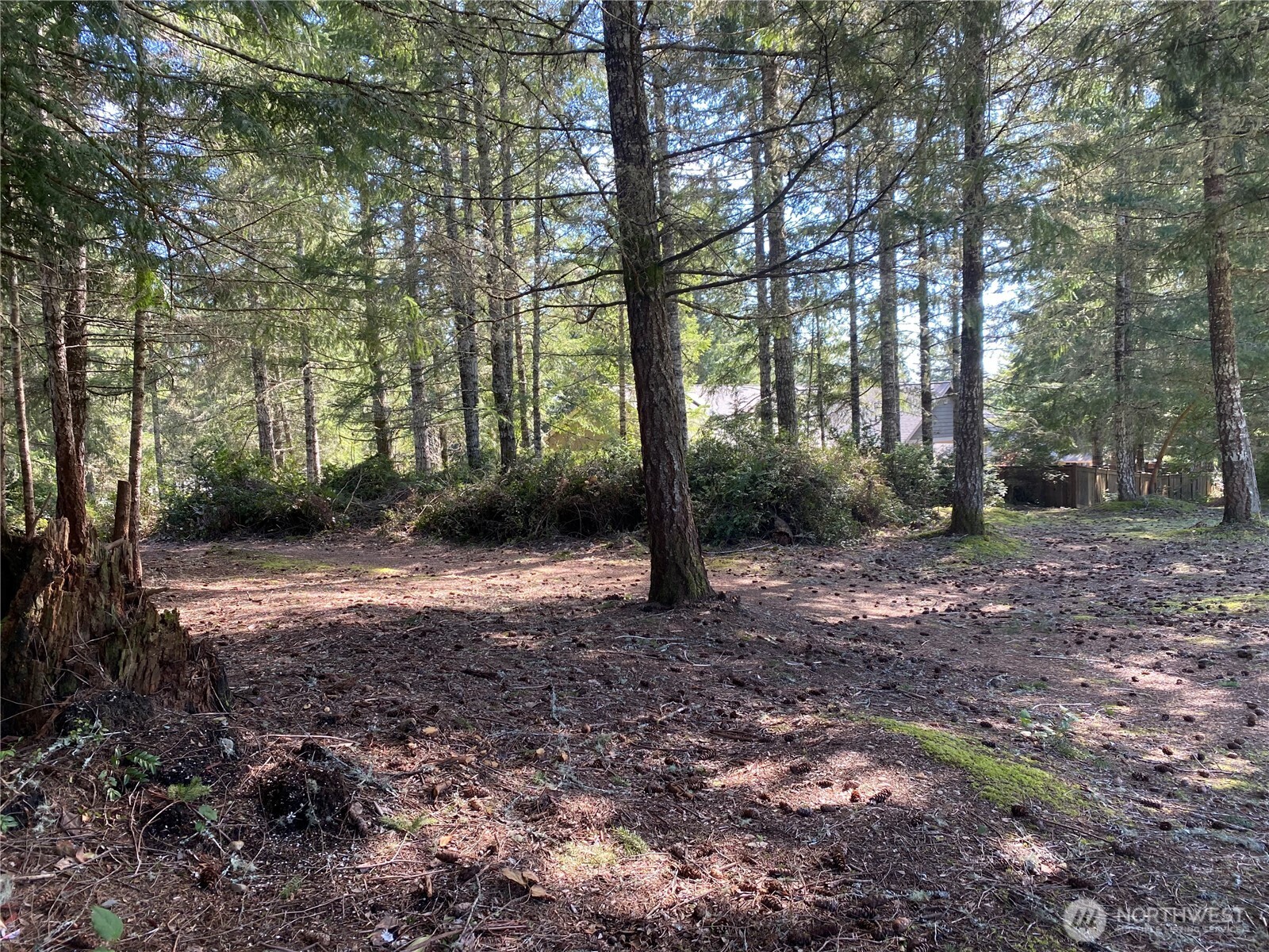 200 East Soderberg Road Allyn, WA 98524 - Photo 8 of 20 a backyard of a house with lots of green space