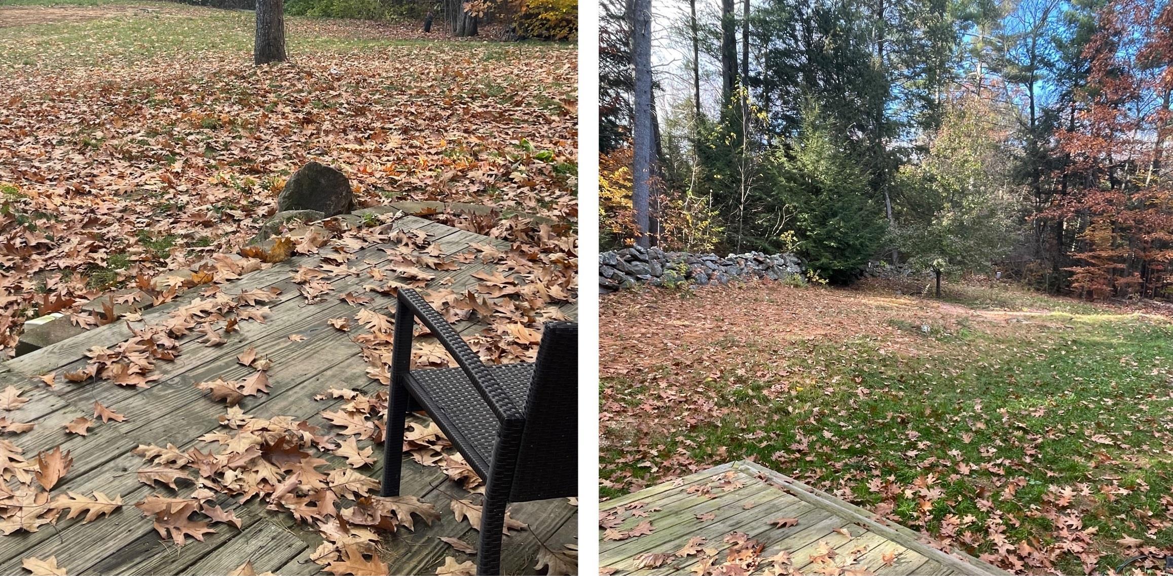 231 Buckley Road Weare, NH 03281 - Photo 4 of 14