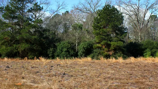 $29,900 | Tbd La Petite Court, Trinity, TX 75862