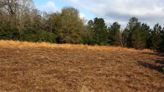 $33,000 | Tbd La Petite Court, Trinity, TX 75862