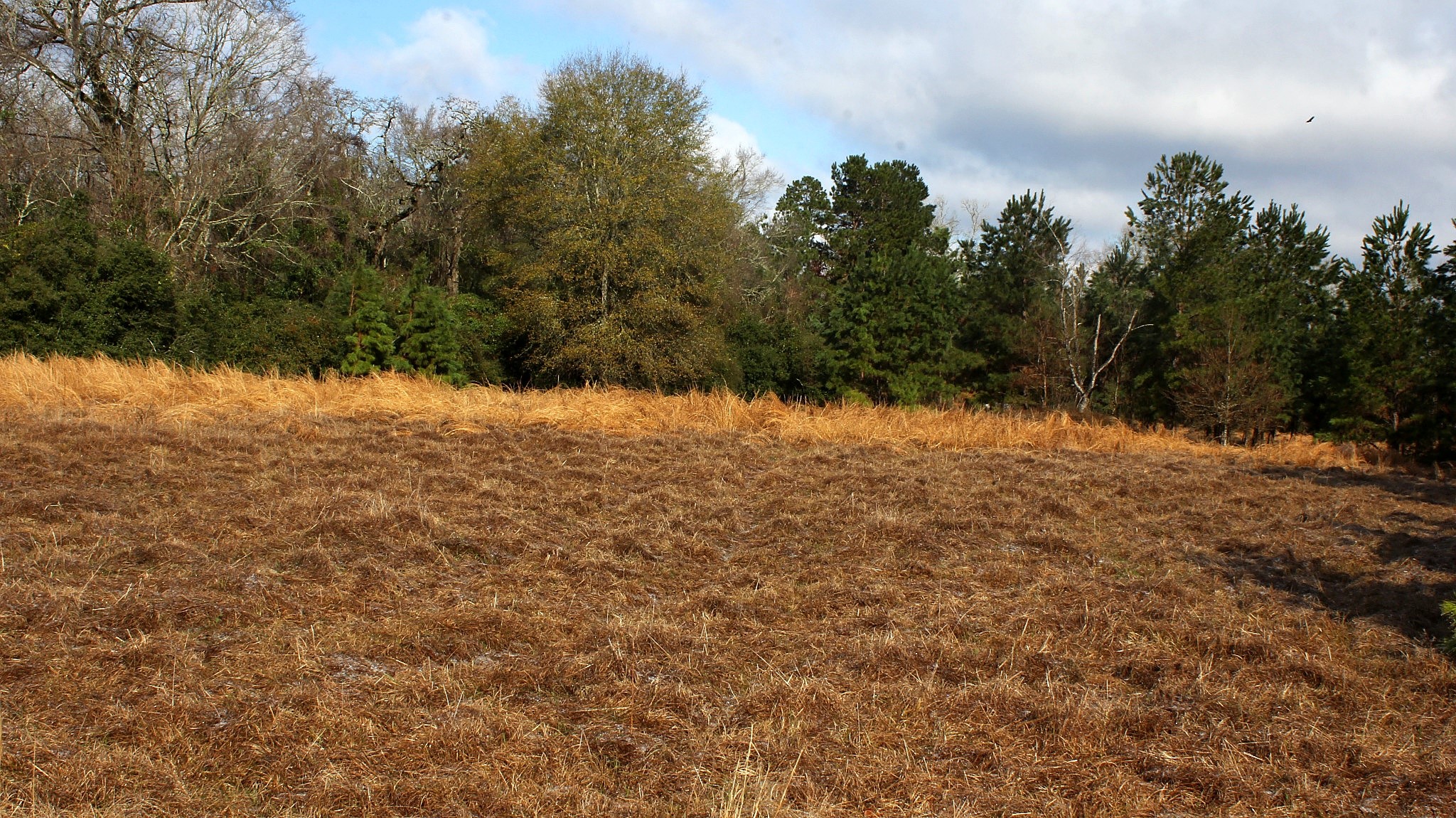 Tbd La Petite Court Trinity, TX 75862 - Photo 3 of 11