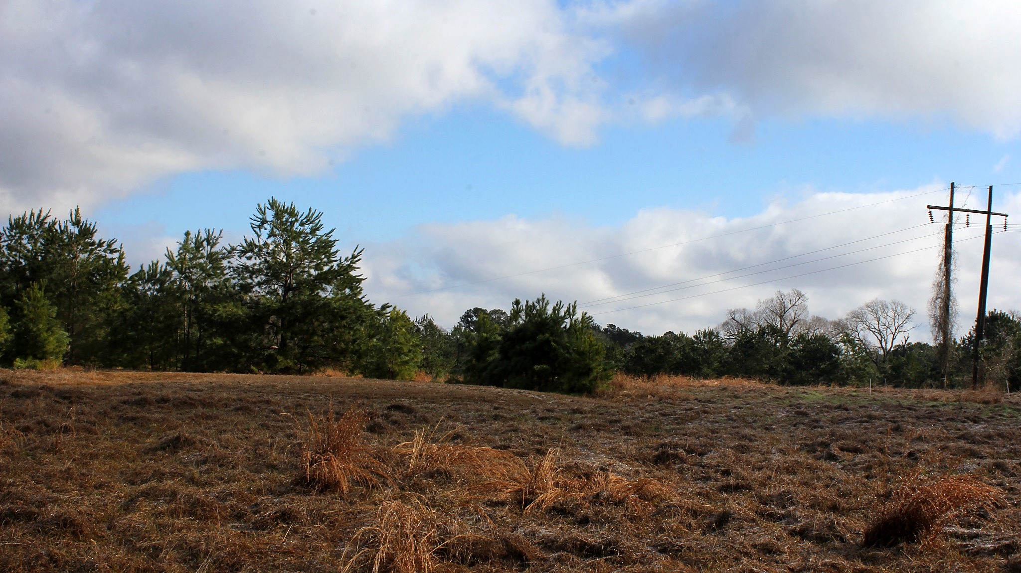 Tbd La Petite Court Trinity, TX 75862 - Photo 4 of 11 a view of a dry yard