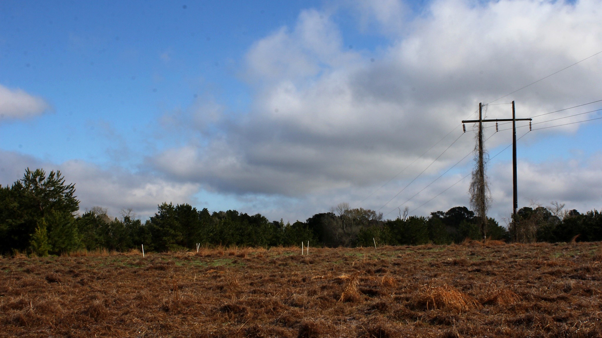 Tbd La Petite Court Trinity, TX 75862 - Photo 5 of 11 a view of a field with a tree in the background