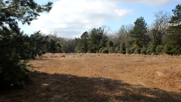 $29,900 | Tbd La Petite Court, Trinity, TX 75862