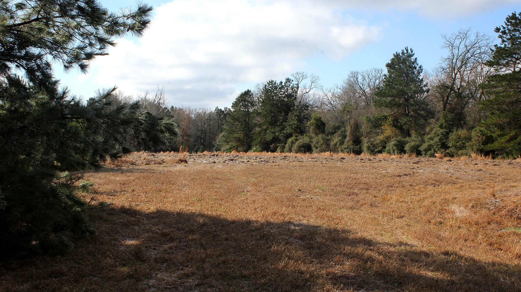 Tbd La Petite Court Trinity, TX 75862 - Photo 6 of 11 a view of snow covered with snow