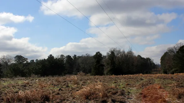 $33,000 | Tbd La Petite Court, Trinity, TX 75862