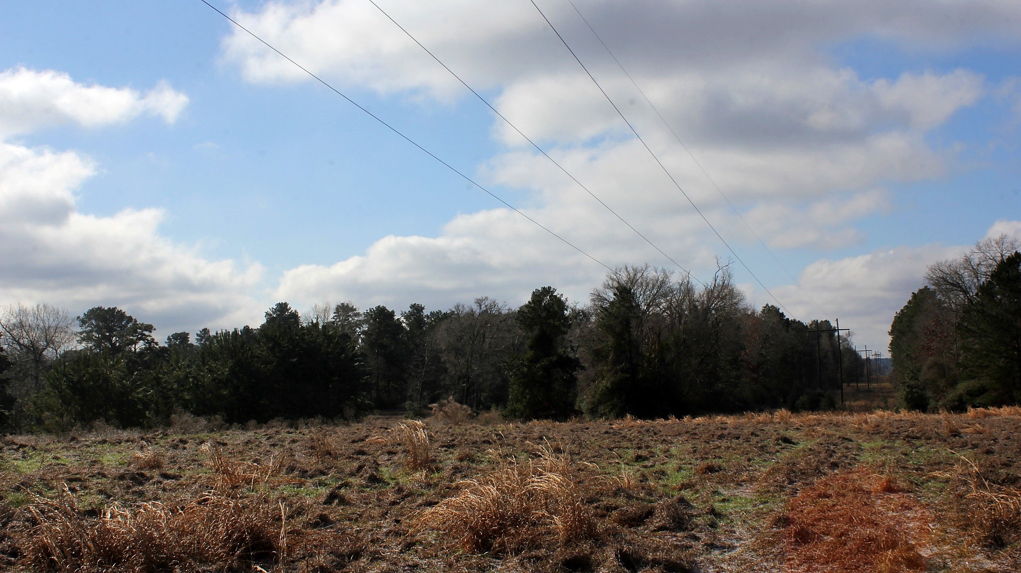 Tbd La Petite Court Trinity, TX 75862 - Photo 10 of 11 a view of a dry yard