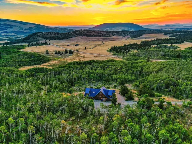 $1,550,000 | 70 Sheep Creek Trail, Fairplay, CO 80440