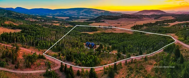 a view of a backyard with wooden fence