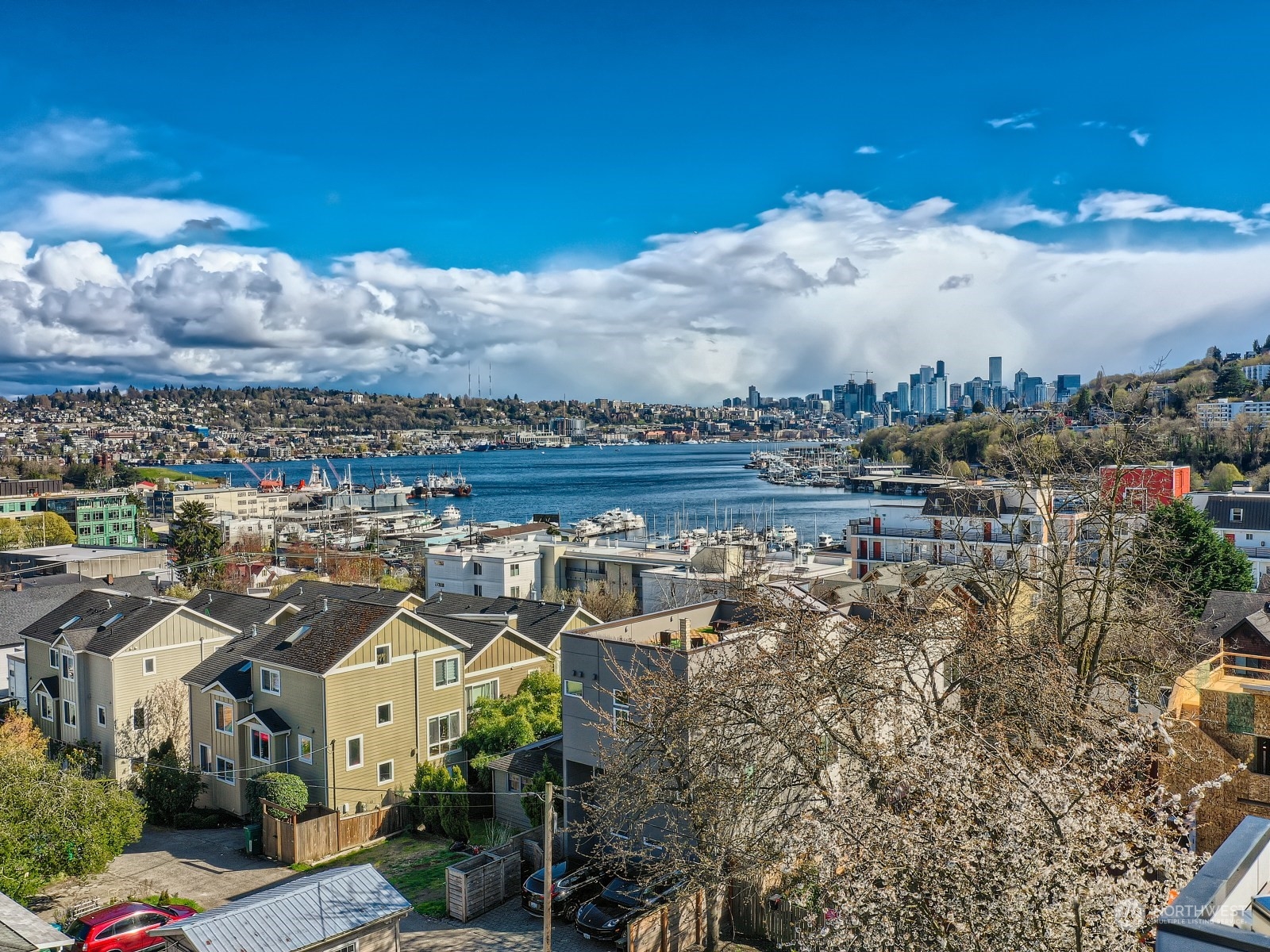 923 North 36th Street Seattle, WA 98103 - Photo 1 of 35 Gallery Image 1