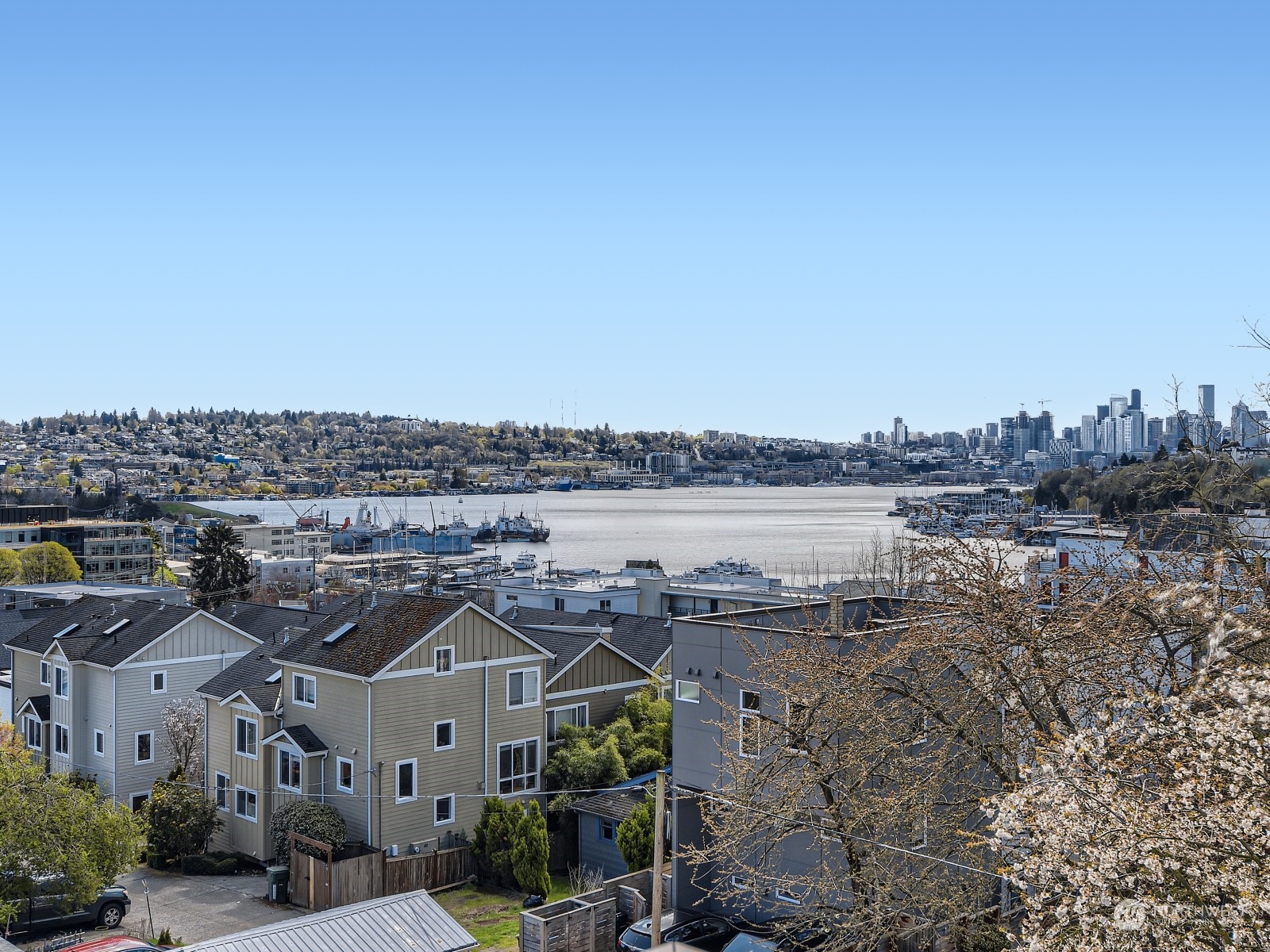 923 North 36th Street Seattle, WA 98103 - Photo 25 of 35 Gallery Image 25