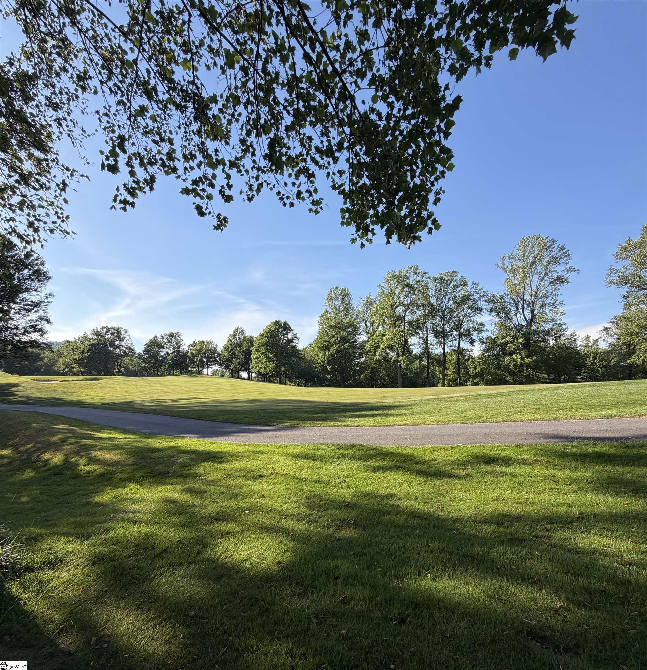 103 May Apple Way Landrum, SC 29356 - Photo 2 of 12