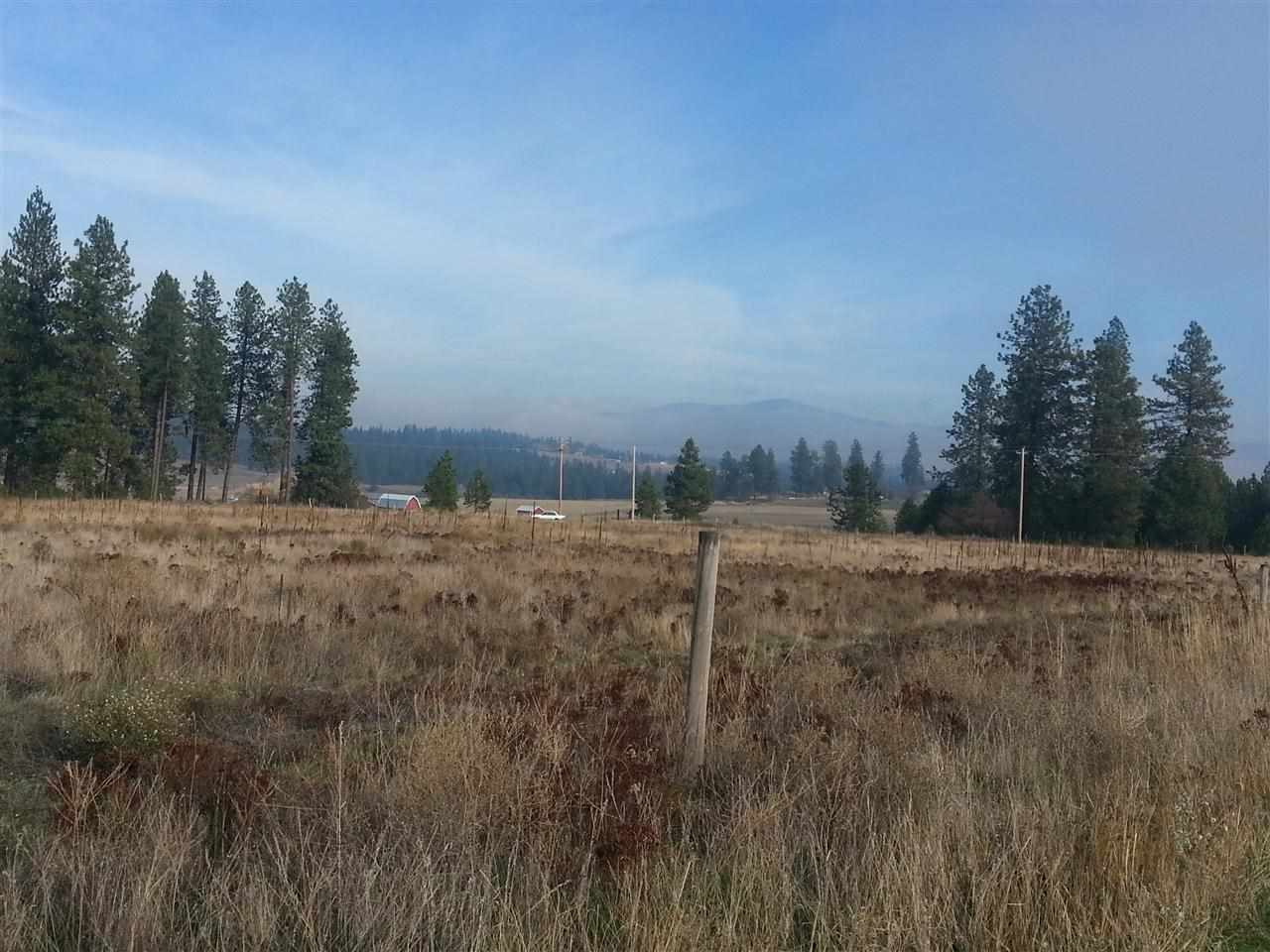 17101 North Austin Road Spokane, WA 99208 - Photo 3 of 3