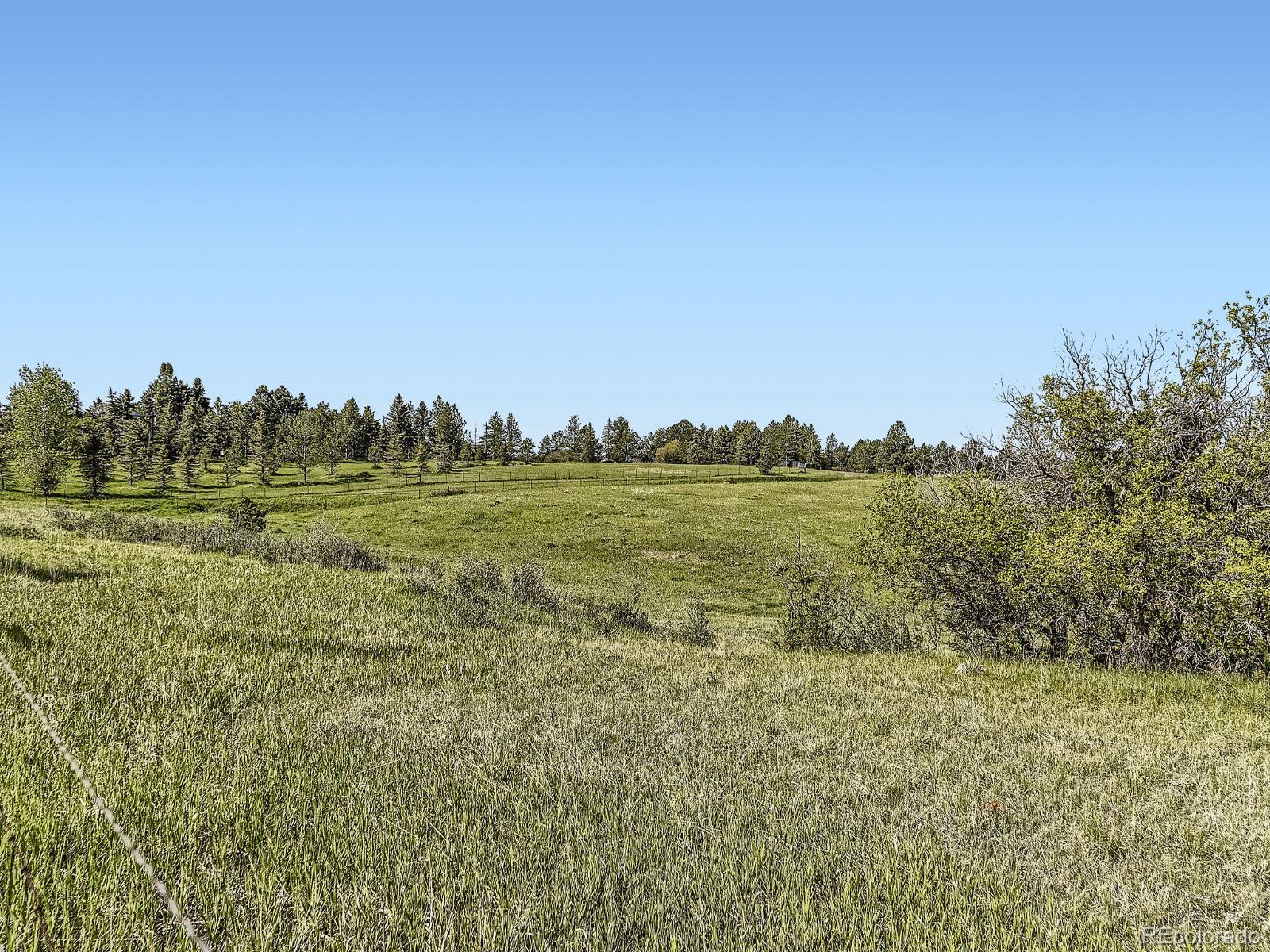 104 Bill Davis Road Franktown, CO 80116 - Photo 10 of 14 a view of a field with trees in background