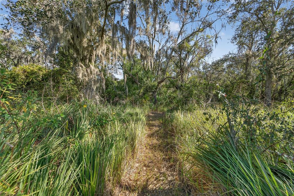 1728 Fred Ives Street Ruskin, FL 33570 - Photo 52 of 78