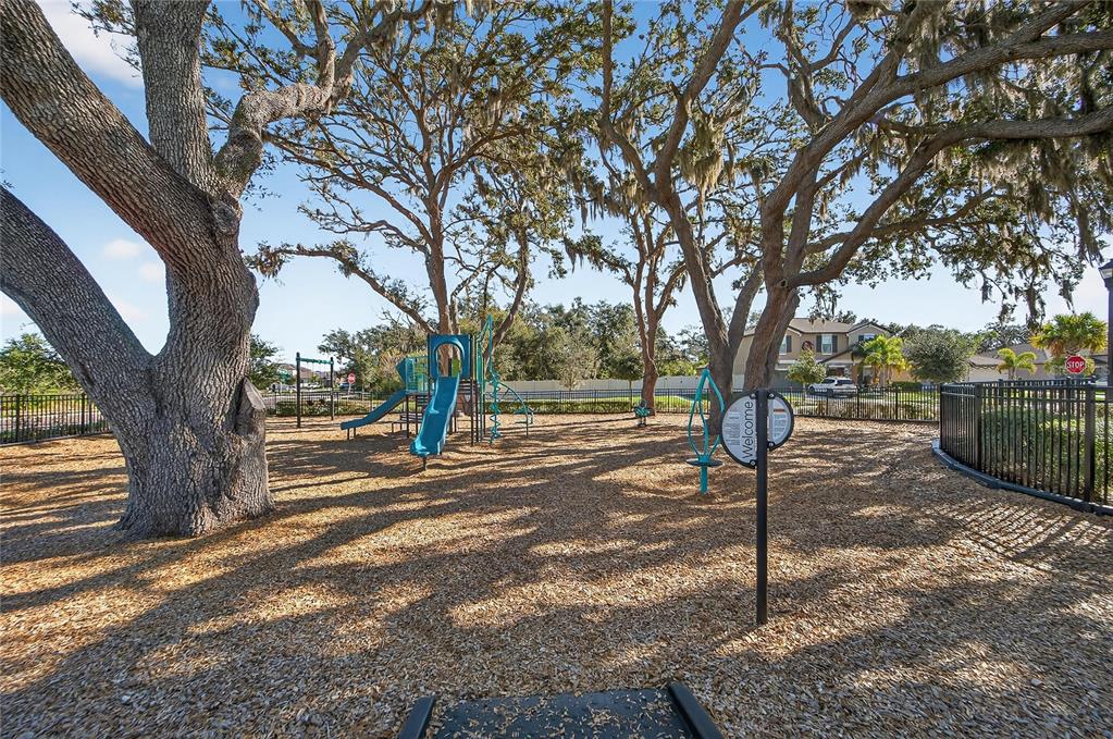 1728 Fred Ives Street Ruskin, FL 33570 - Photo 75 of 78 a view of a yard with large tree