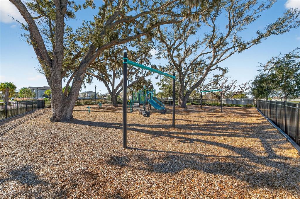 1728 Fred Ives Street Ruskin, FL 33570 - Photo 77 of 78 a view of backyard with tree
