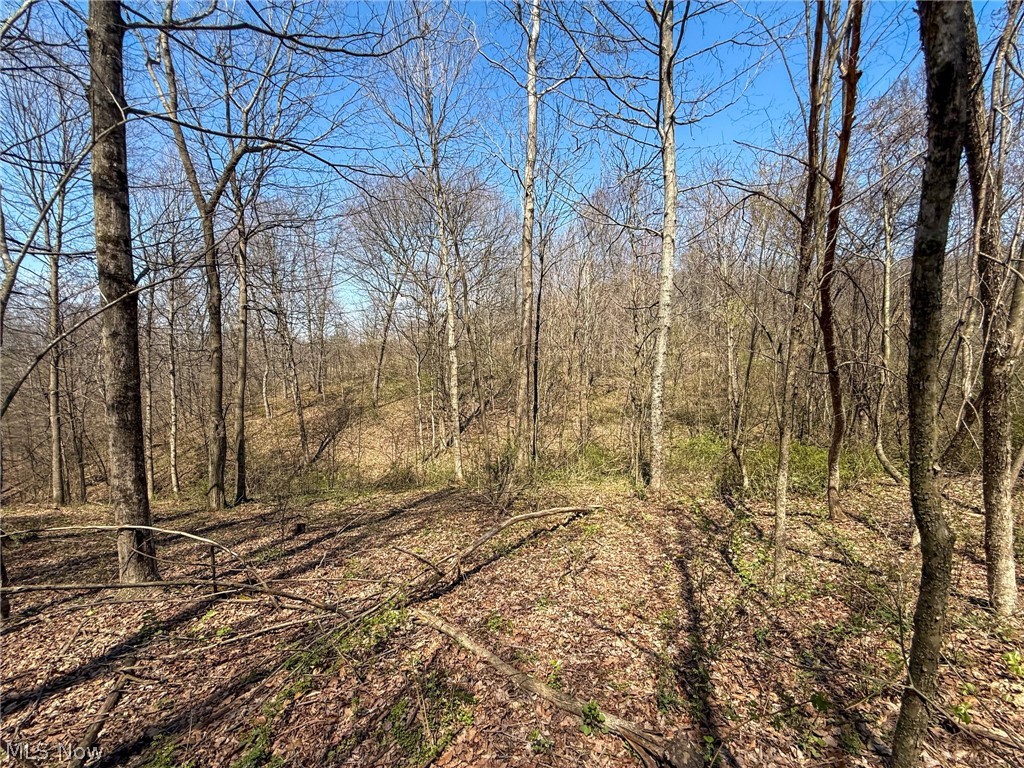Claysville Road Cumberland, OH 43732 - Photo 39 of 47