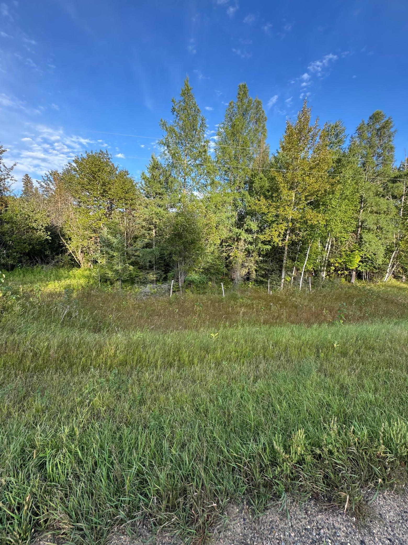 Tbd Gull Lake Loop Road Northwest Tenstrike, MN 56683 - Photo 1 of 7 Gallery Image 1