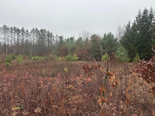 Nhn East Stockwell Road Harrison, MI 48625 - Photo 6 of 8