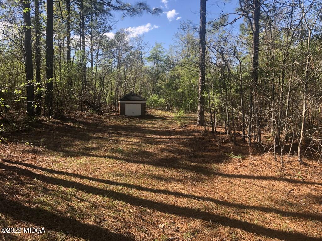 1589 Hamlin Road Lizella, GA 31052 - Photo 19 of 25 a view of a yard with large trees
