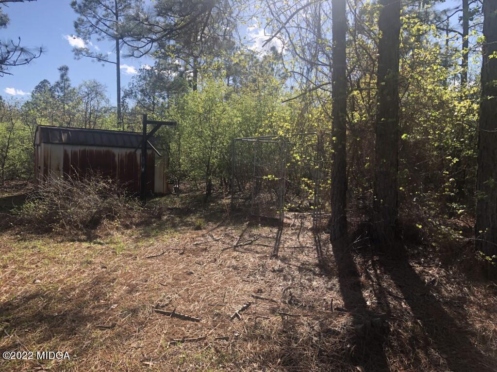 1589 Hamlin Road Lizella, GA 31052 - Photo 20 of 25 a backyard of a house with lots of green space
