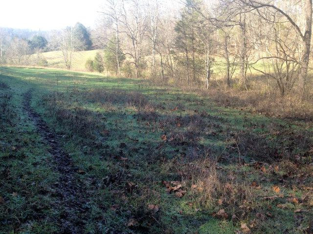 675 Cressy Road Irvine, KY 40336 - Photo 31 of 31 Photo 31