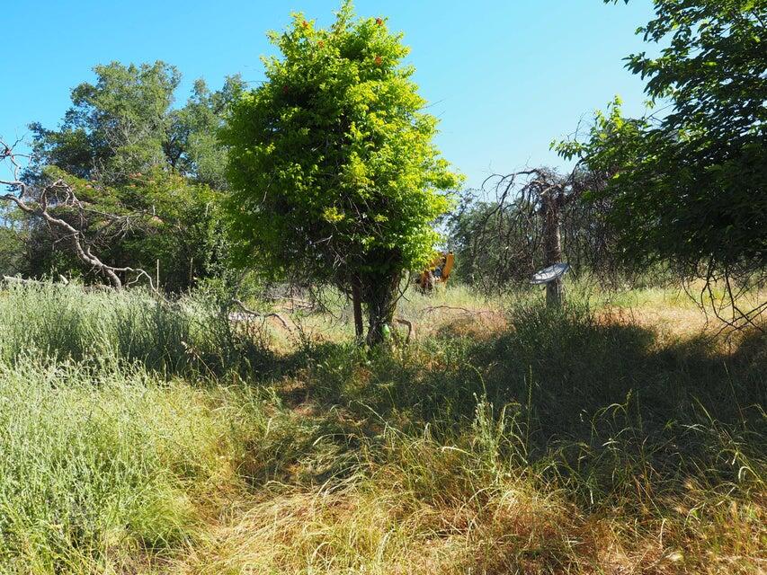 20103 Parocast Road Redding, CA 96003 - Photo 9 of 24 20260519214846714069000000-o