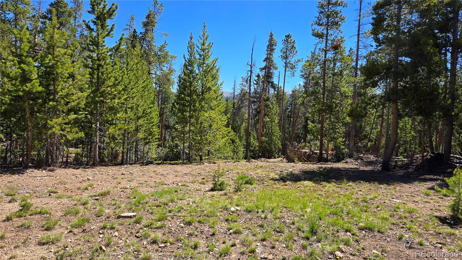 0 Summit Gulch Road Breckenridge, CO 80424 - Photo 10 of 31