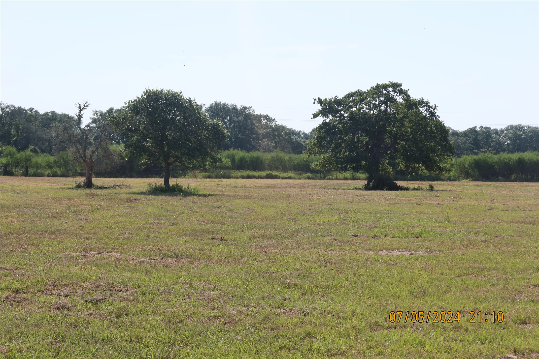 1046 Railhead Road Columbus, TX 78934 - Photo 1 of 24 a view of outdoor space with trees
