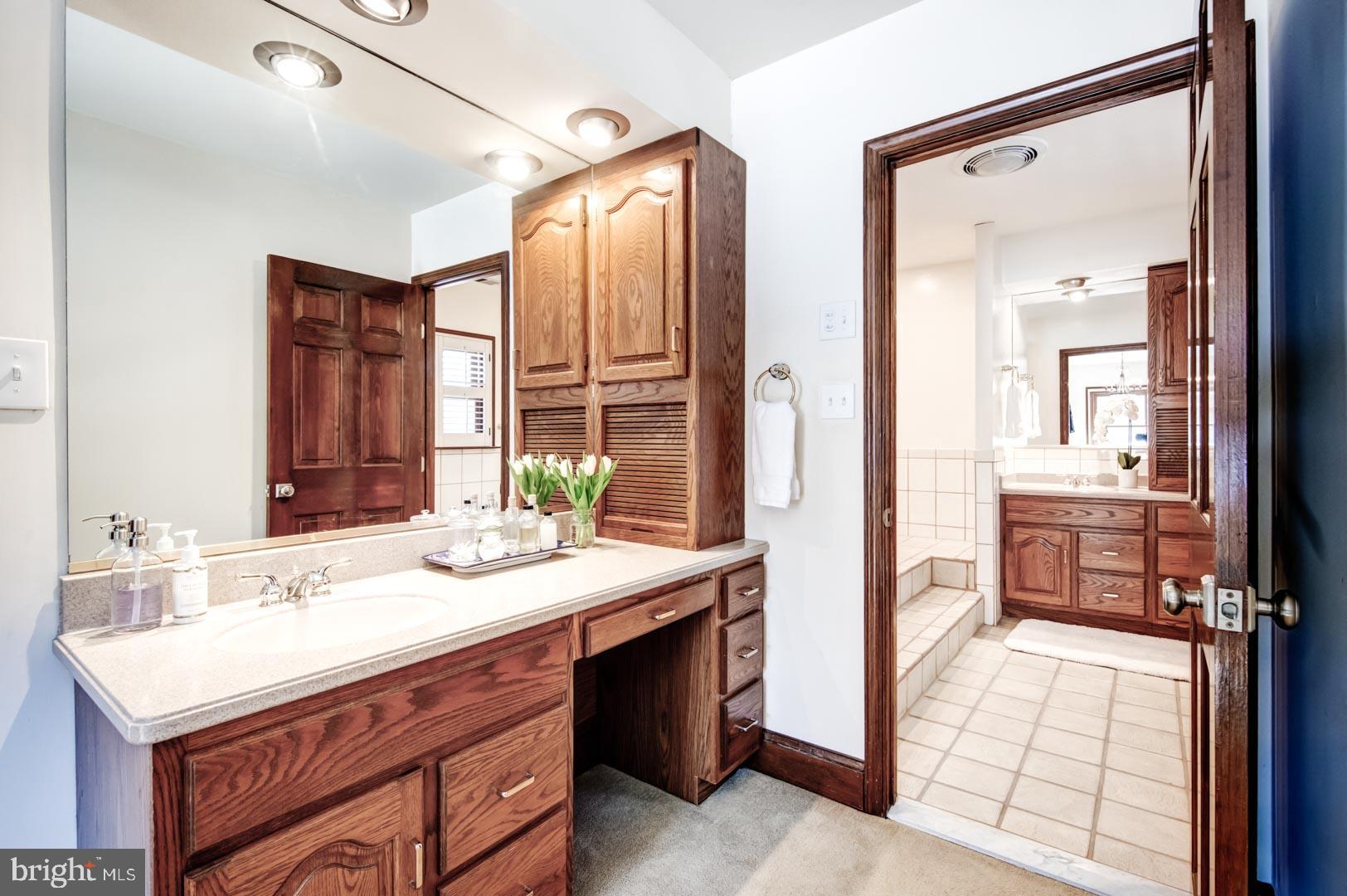99 Springton Lake Road Media, PA 19063 - Photo 22 of 43 Master Closet with Vanity Sink