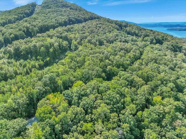 an aerial view of a forest with houses