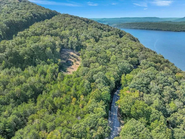 a view of a forest with a lake