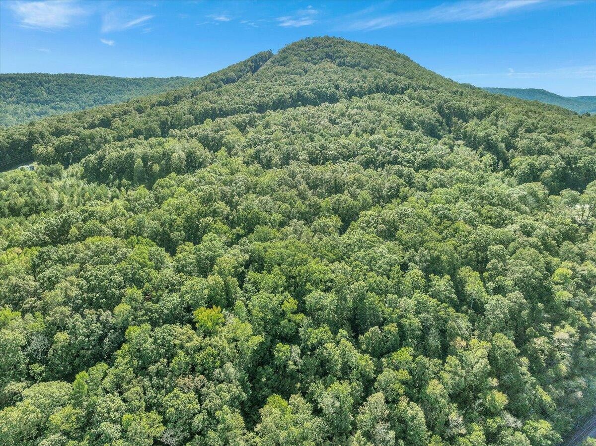 0 Browbend Drive Guild, TN 37340 - Photo 6 of 8 a view of a green field with lots of bushes